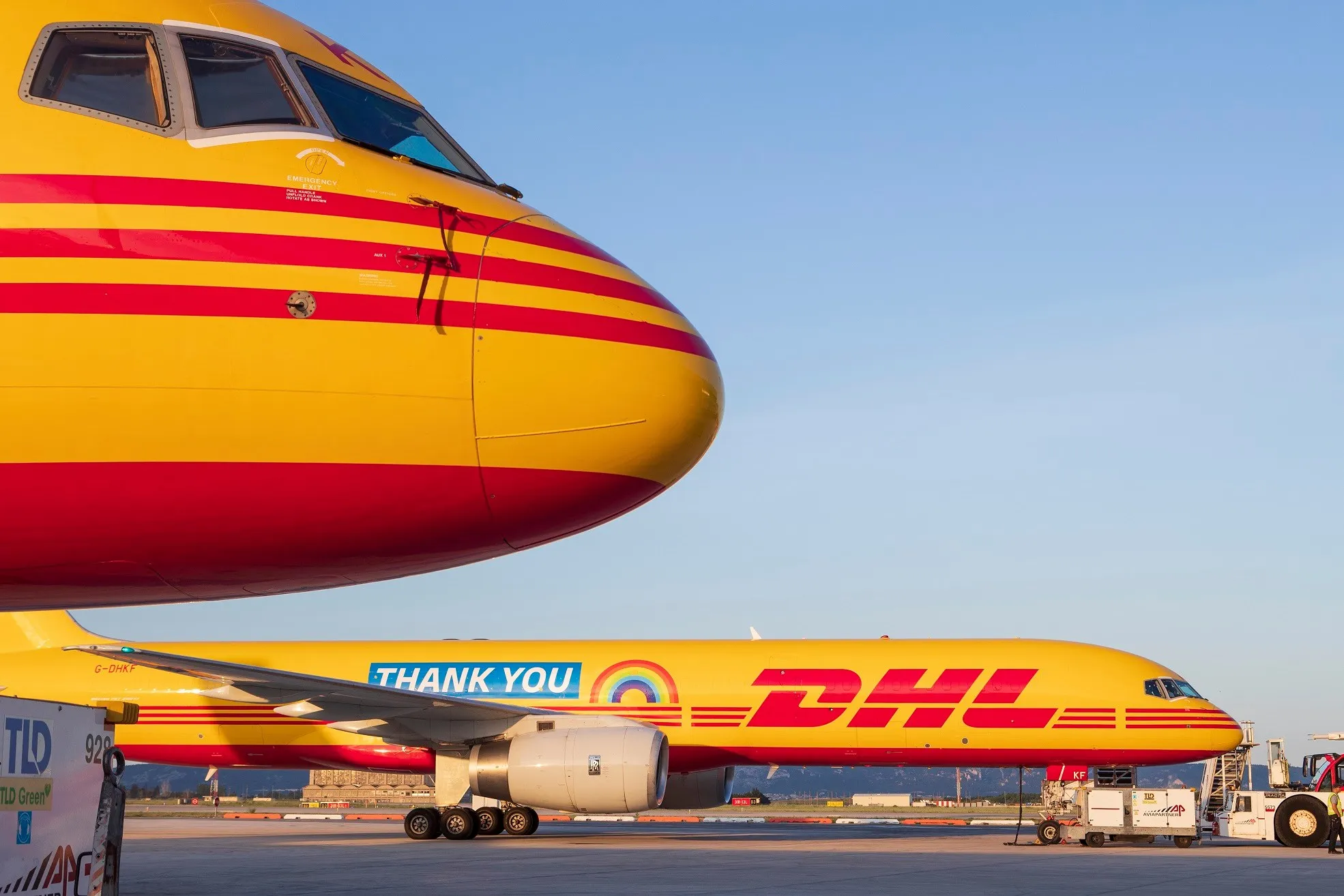 DHL агент Быстрая доставка экспресс из Китая в Палестину от двери до