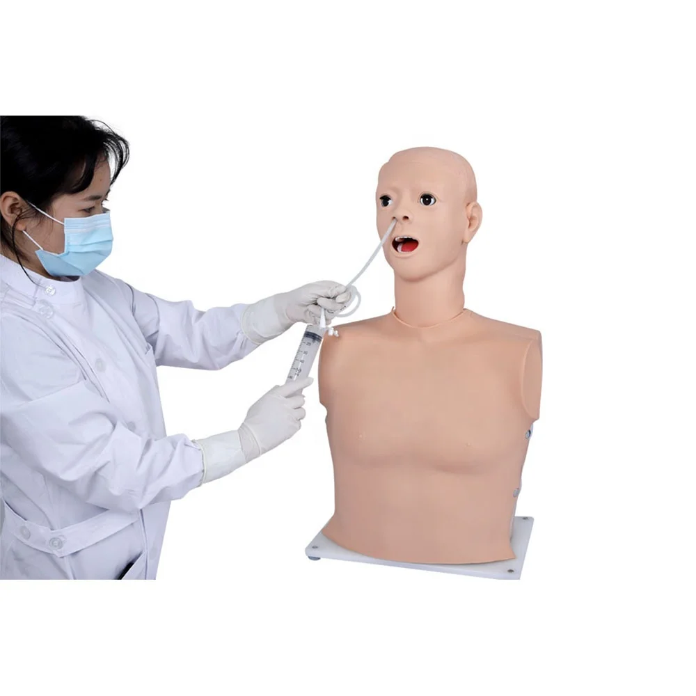 Nasal Feeding, Gastric Lavage and Intubation Training Mannequin