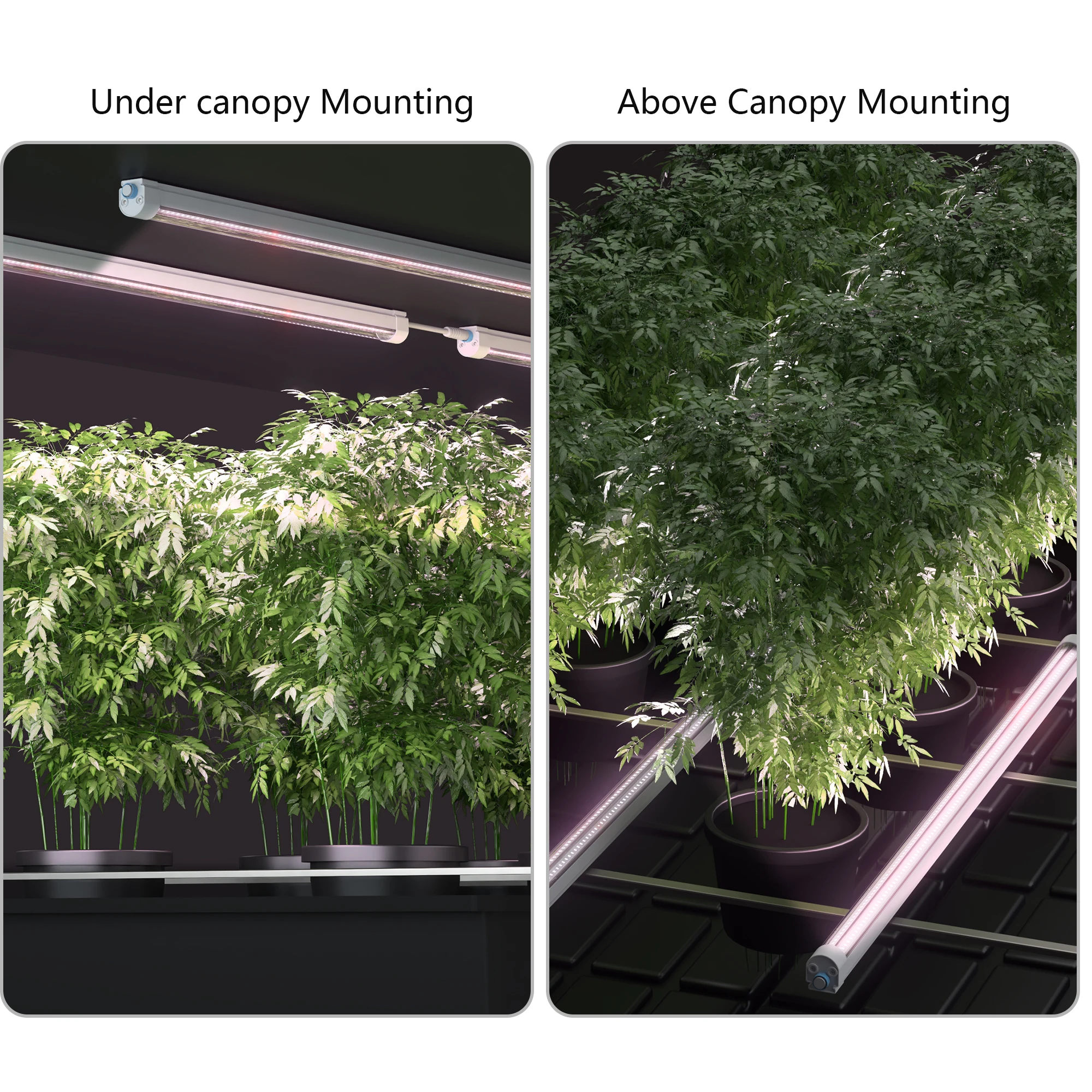30% Boost harvest 60W/120W/150W full spectrum under canopy led mid red PPE 2.8 ISO CE UKCA IP65 power cable sold separately IP67