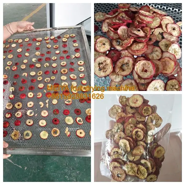 
Hot Air Recycle Heat Pump Industrial Blueberry drying machine Mulberry dehydrator fruit dryer oven vegetable dryer 