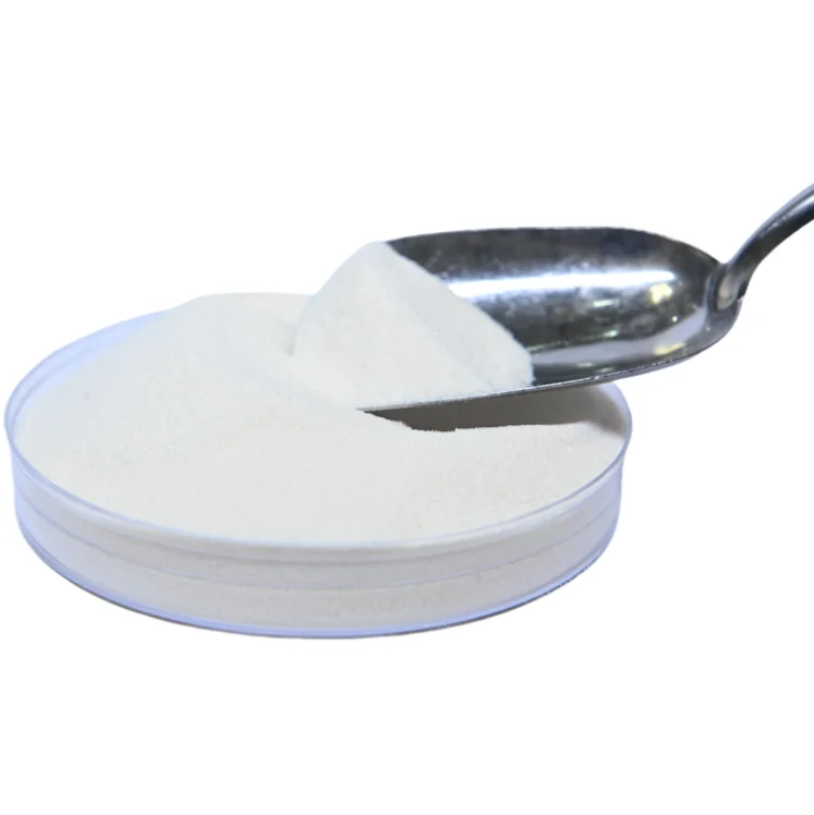 Wholesale HALAL FOOD GELATIN/ Kappa-Carrageenan