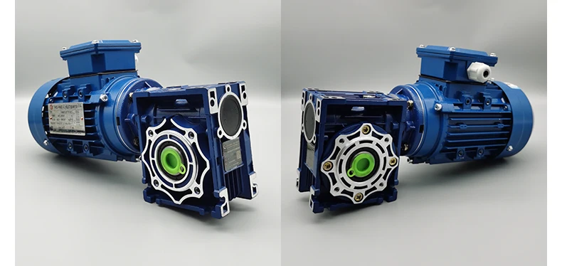 worm gear speed reducer for electric motor