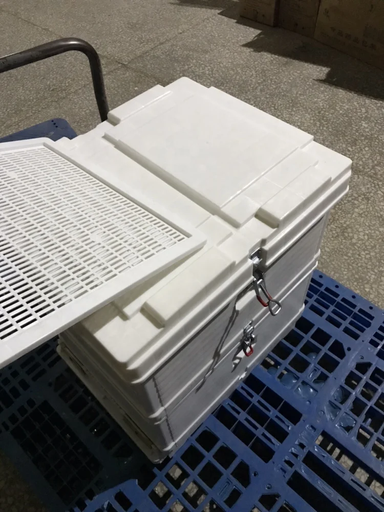 Wholesale Price Food Grade Langstroth Bee Box Plastic Beehive with a Thermometer