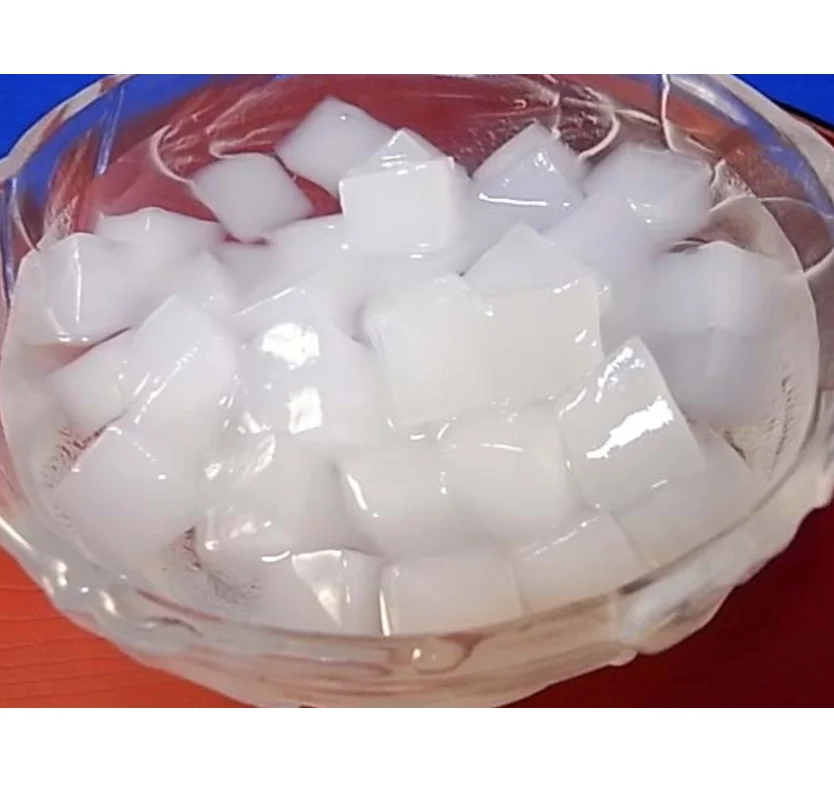 Wholesale Best Price NATA DE COCO FROM VIETNAM High Quality Ready To Ship AGENAS