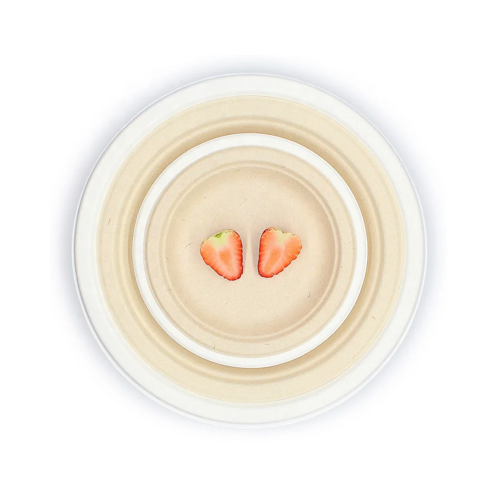 Chemical Free Compostable Biodegradable 6 Inch disposable bamboo plates Disposable Sugarcane Bagasse Round Plate