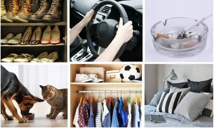 SENSHA CUBEO ORANGE the hyper-cube that delivers odor eliminating effect by SNESHA