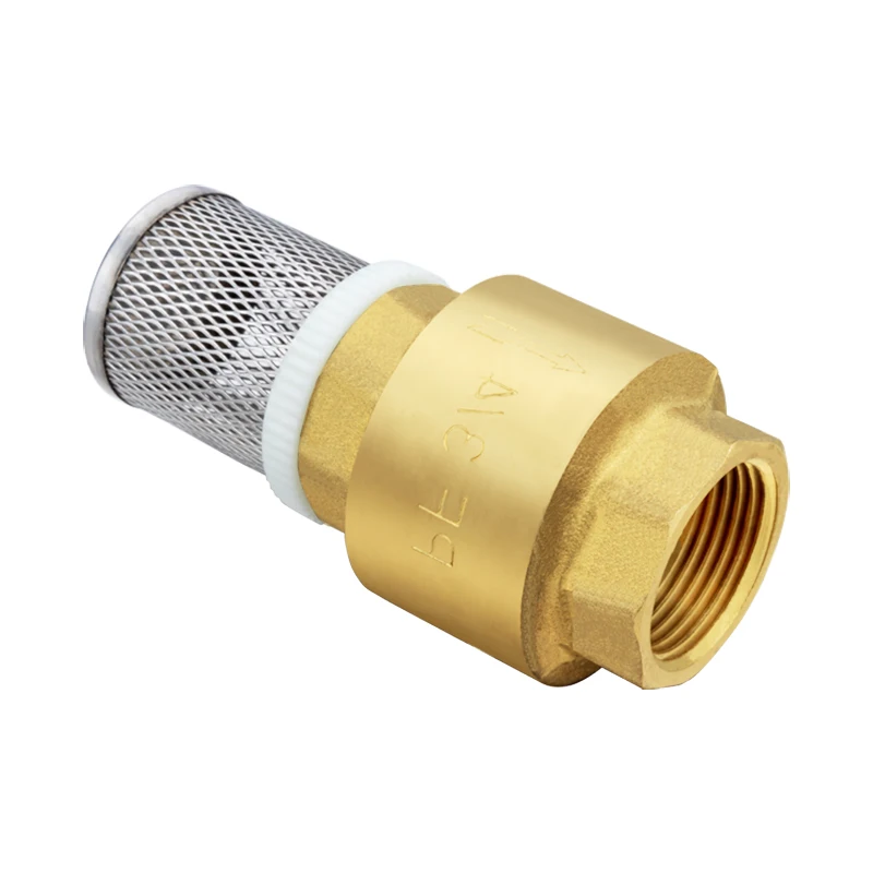 TMOK Sourcing Factory Plastic Strainer Filter Brass Spring Foot Valve Check Valve for Water Pump
