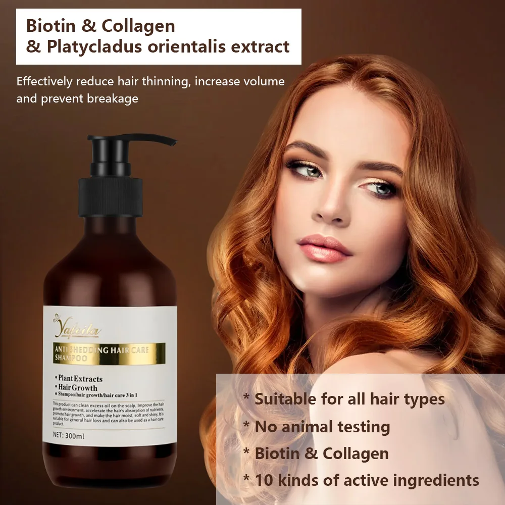 Free Sample Provide Wholesale Chinese Herbal Polygonum Multiflorum Fast Hair Growth Shampoo and Conditioner for Thinning Hair