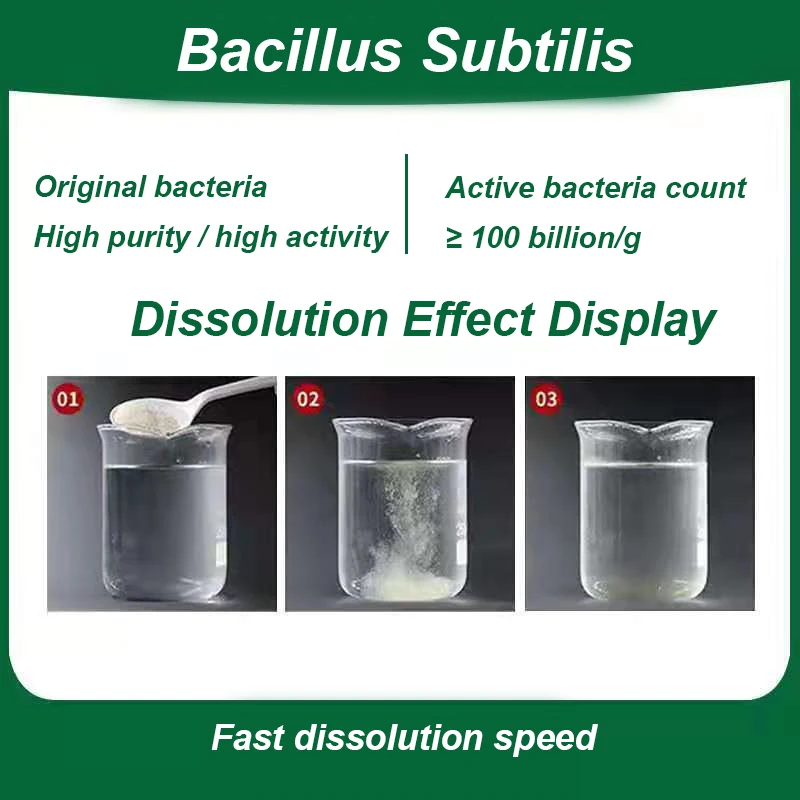 Feed Additive Bacillus Subtilis, Probiotics, Poultry Livestock Animal Feed Pellet Mill For Pigs, Cattle And Sheep Feeds Animal