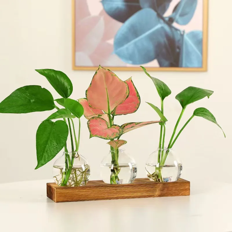 Glass Ball Plant Terrarium Mini Vase Flower Pots for Hydroponic Plants Home Garden Decoration