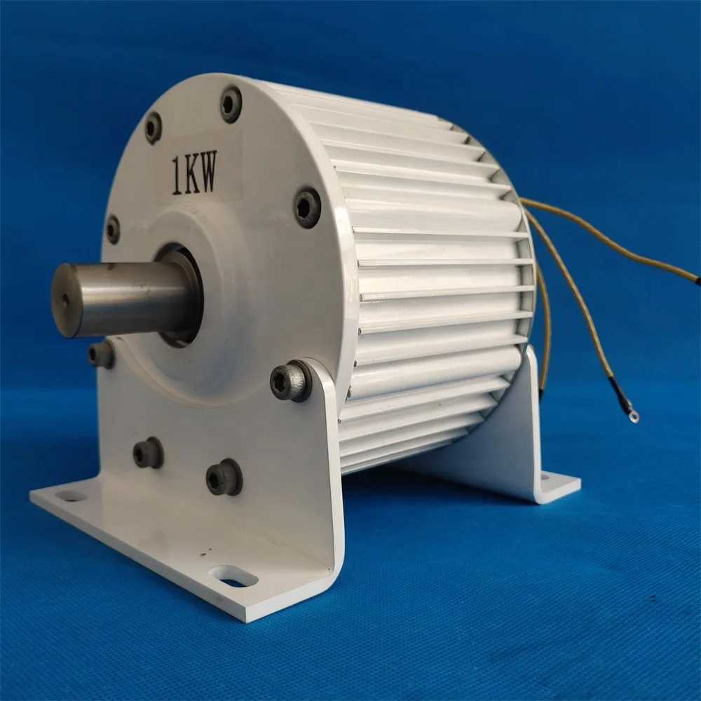 Russia Warehouse Permanent Magnet Generator 1KW  free alternative energy Generators alternator generator