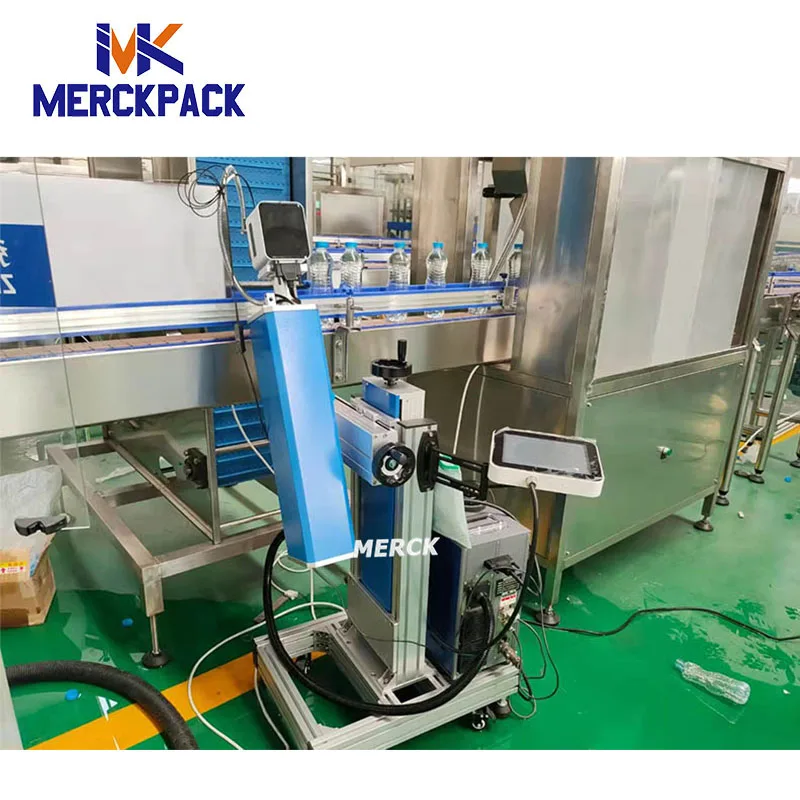 30W Laser Date Printer for Sale Laser Printer for Plastic Bottle /Metal