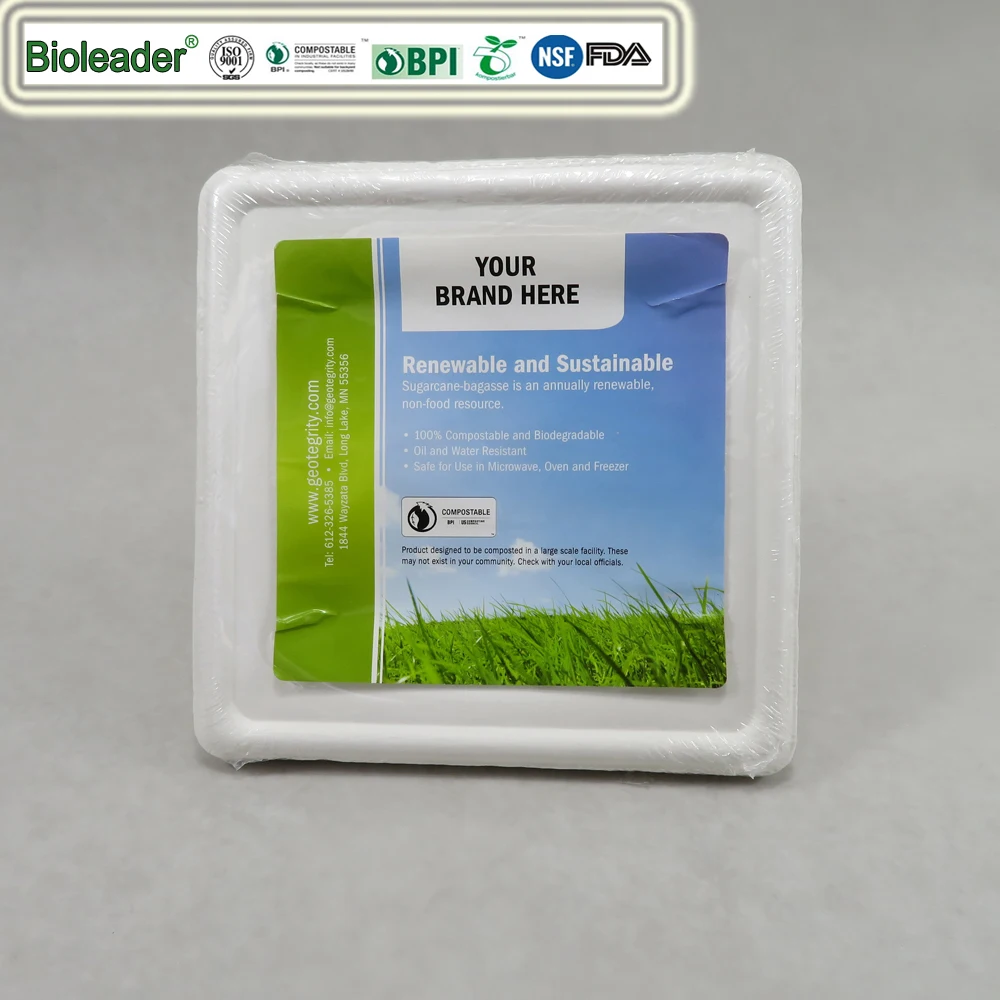 Biodegradable Eavy Disposable Sugarcane Bagasse Party Plates duty microwave
