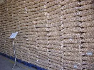 Competitive Price Peanut raw organic peanuts ground nut in shell roasted peanut type Nuts Kernels