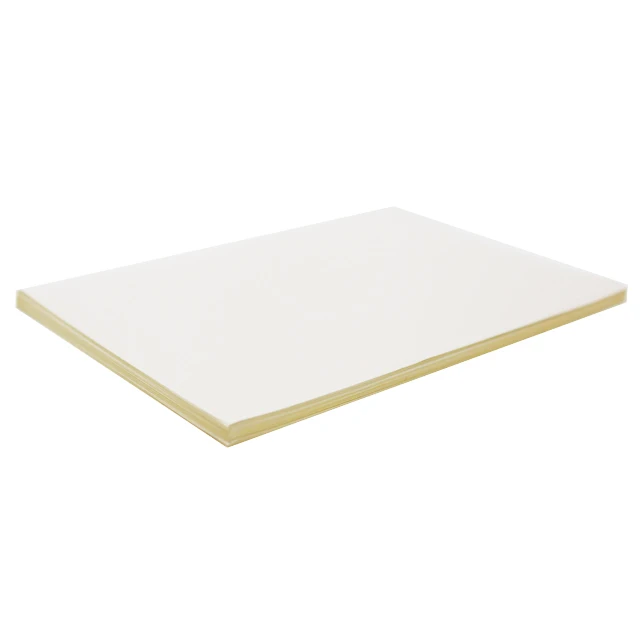 High quality 23 mic 50 mic 80 mic vinyl Film PP synthetic paper roll for printing labels