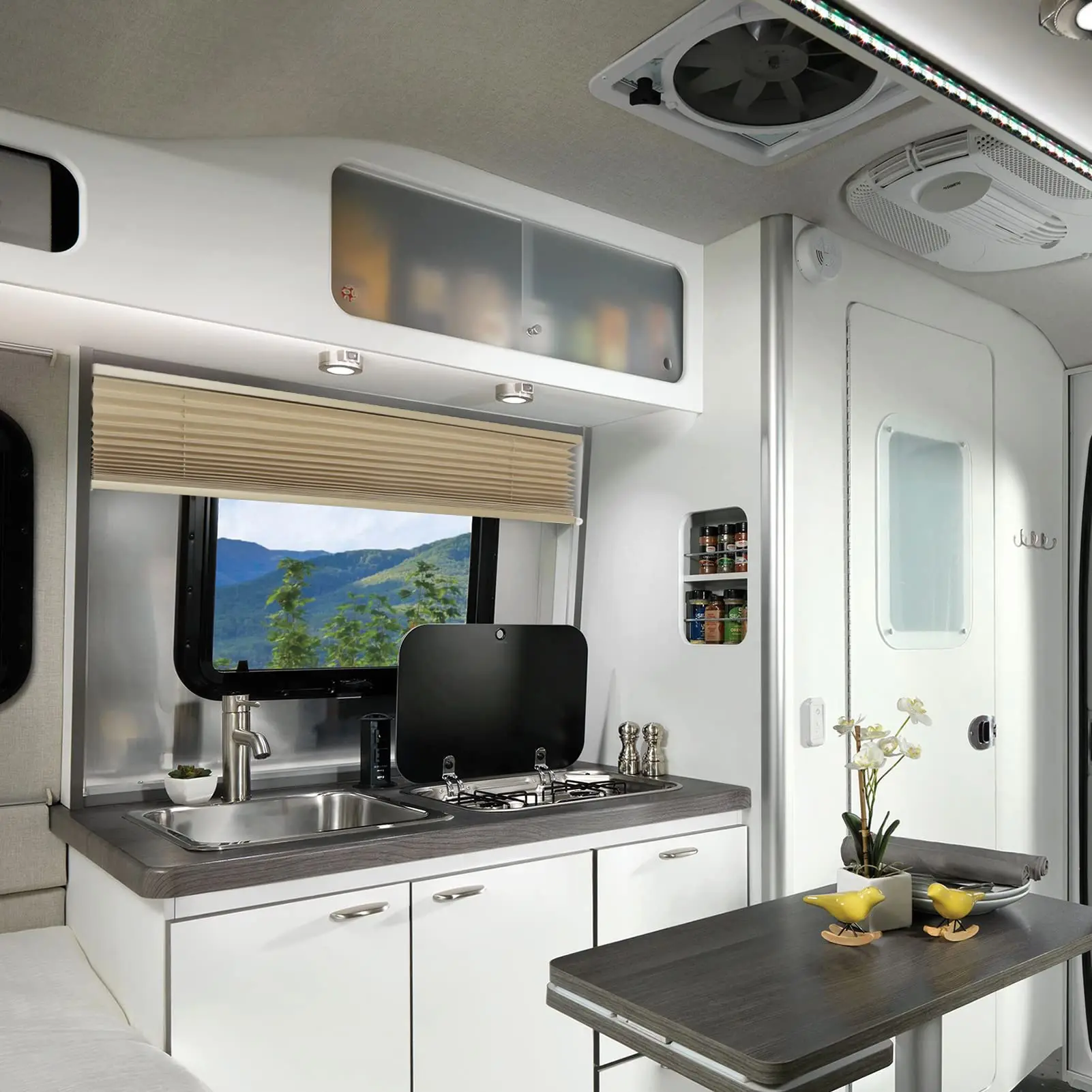 RV pleated shade (2).jpg