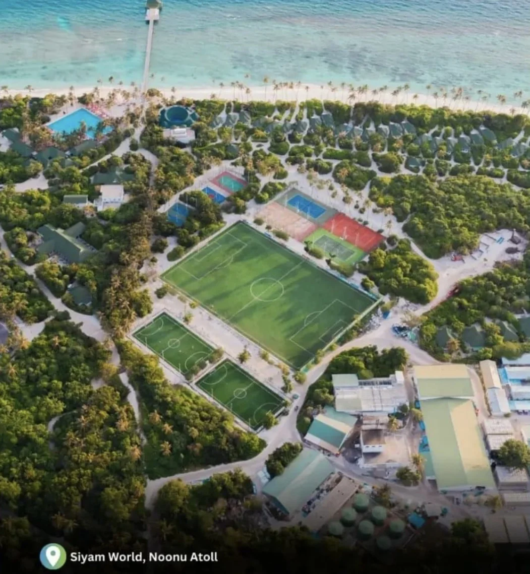 AVG Soccer grass best quality synthetic grass artificial  lawn 40mm 50mm 60mm synthetic turf for football and soccer field