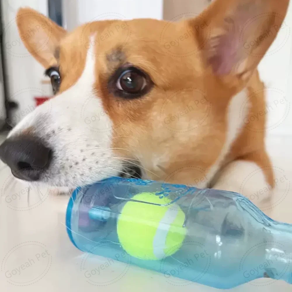 Interactive Dog Retriever Toy Squeaky Dog Bottle Toy With Tennis Ball Inside