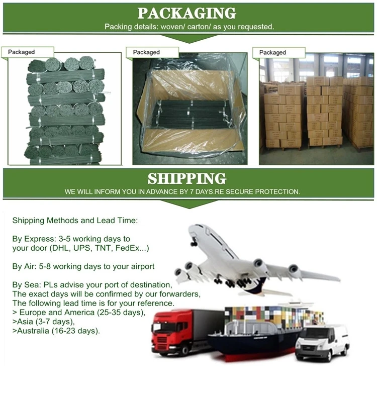 flower sticks 036.webp.jpg