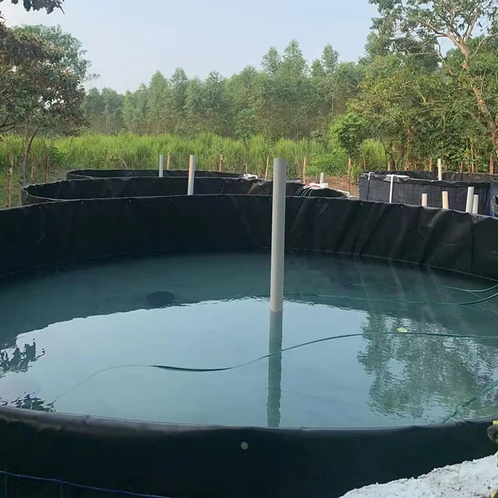2024 hot sale Plastic fish farm pond dam hdpe geomembrane polythene sheet roll water storage tank