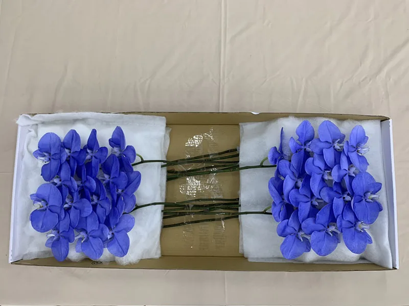 Wholesale Cheap Phalaenopsis Orchid Preserved Flowers Lightning Indigo Fresh