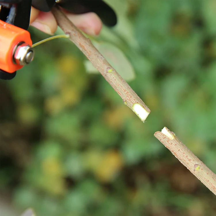 Dropshipping Hot garden grafting tool set 3 blade scissors trim non-slip metal trim tree trimmer