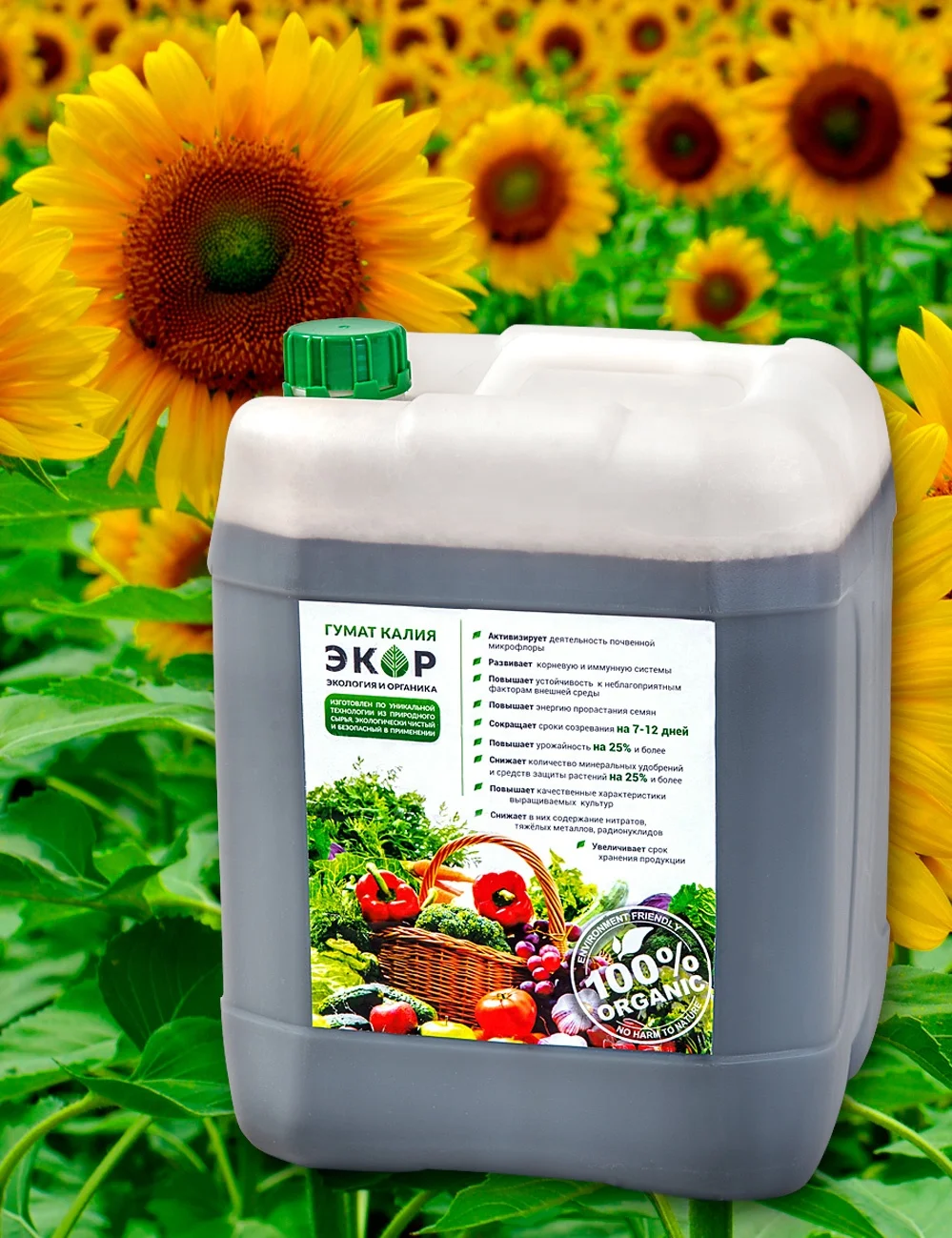 EKOR Humic Acid Liquid Organic Fertilizer for maize