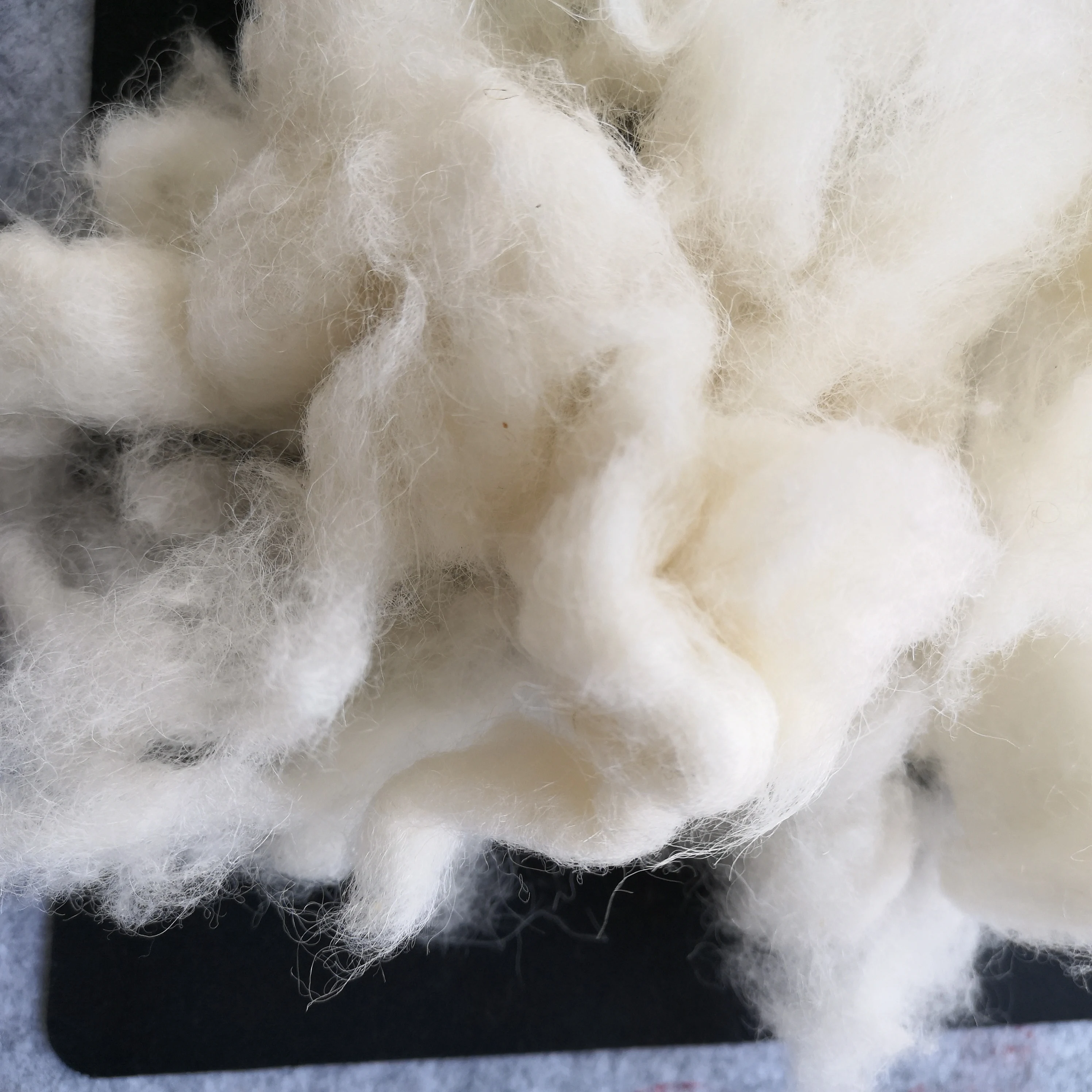 Кардовая шерсть валяние 25mic Шерстяное волокно белого цвета