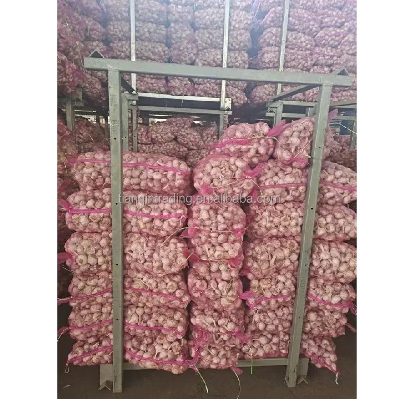 raw material of fresh Chinese garlic for peeled garlic with bag at lowest wholesale price