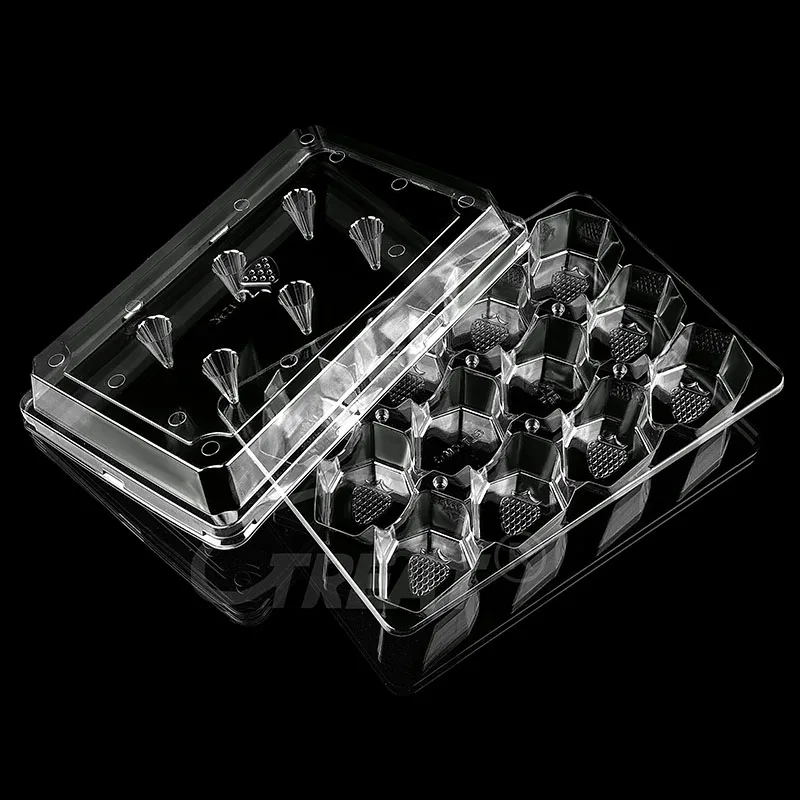Factory Price 20 Cell Custom Clear Egg Tray Plastic Egg Cartons PET Quail Egg Tray