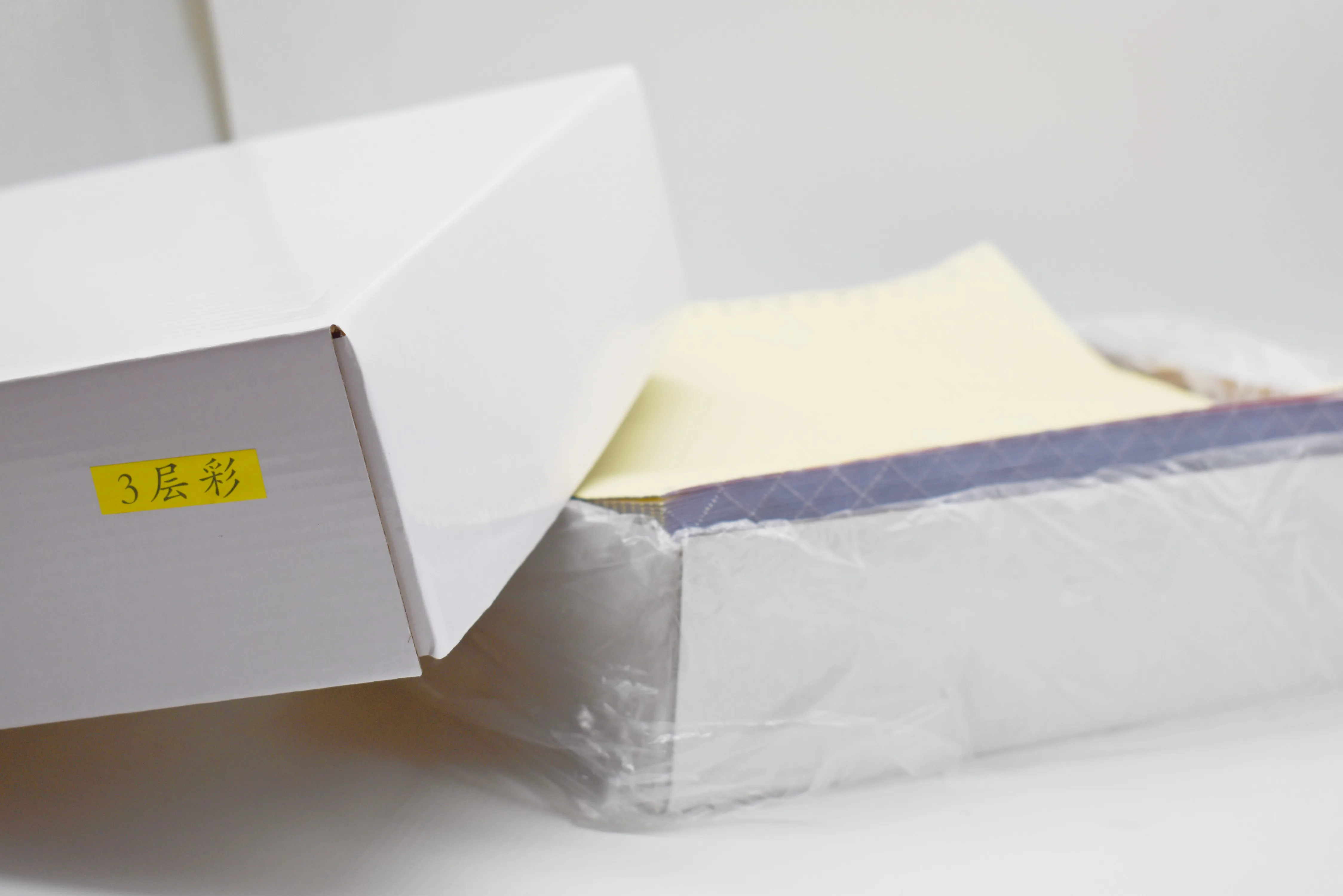 Preimum Manufacturer Continuous Carbonless Computer Paper Form NCR Printing Office Invoice Paper