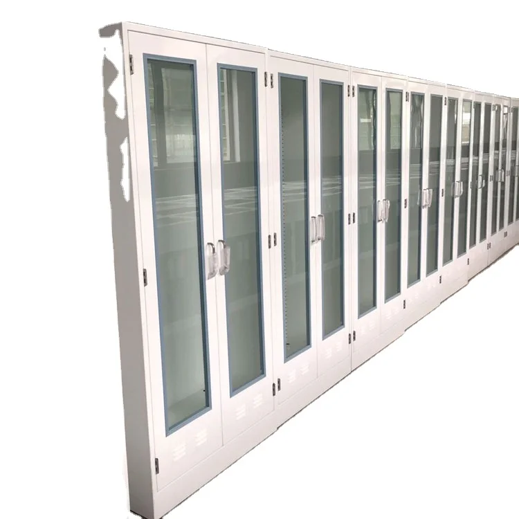 Chemical laboratory furniture two door cupboard reagent tall storage cabinet