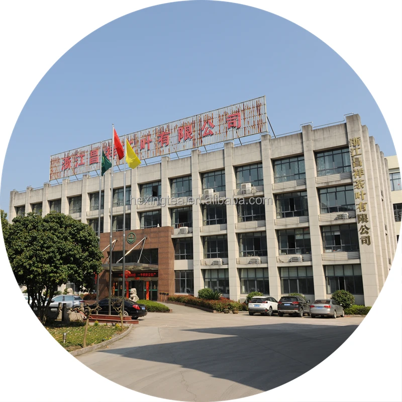 China 41022 AAAA Te 41022AAA Flecha Quality Extra Chunmee Quality Chunme El Marwan 25g Extract Leaves Chinese Green Tea