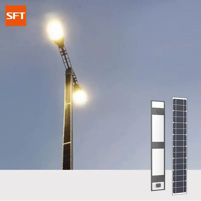 SFT Popular Private Model Hanging Embedded Vertical Monocrystalline Silicon 40W Solar Photovoltaic Panel for street lights