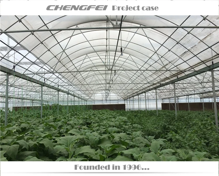 Multi-span serre-agricol plastic film chilli vegetable greenhouse buy agriculture turkey supplier for sale