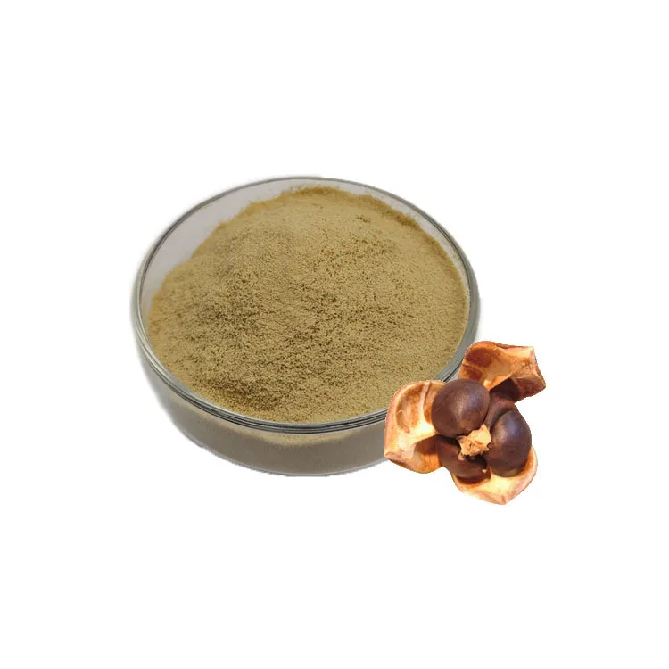 Natural Camellia Oleifera Seed Camellia Japonica Seed Extract