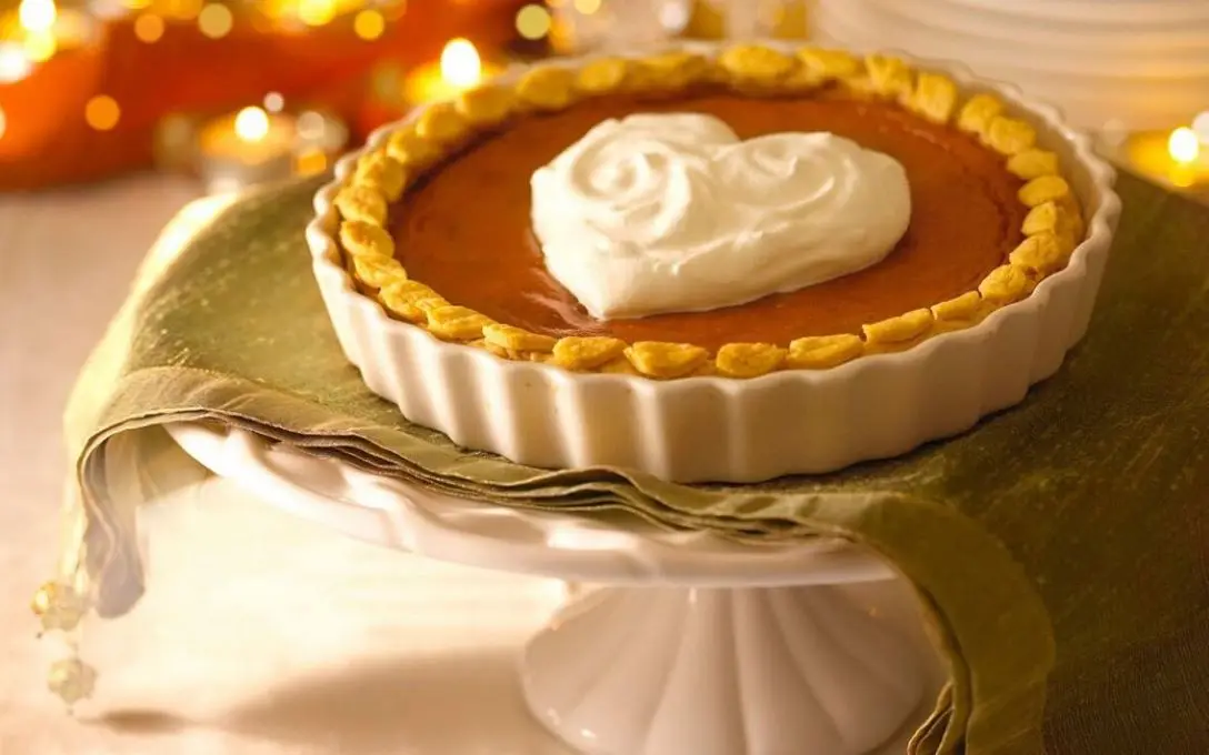 DMG95/GMS99/E471 - Distilled Glycerin Monostearate - Distilled Monoglyceride