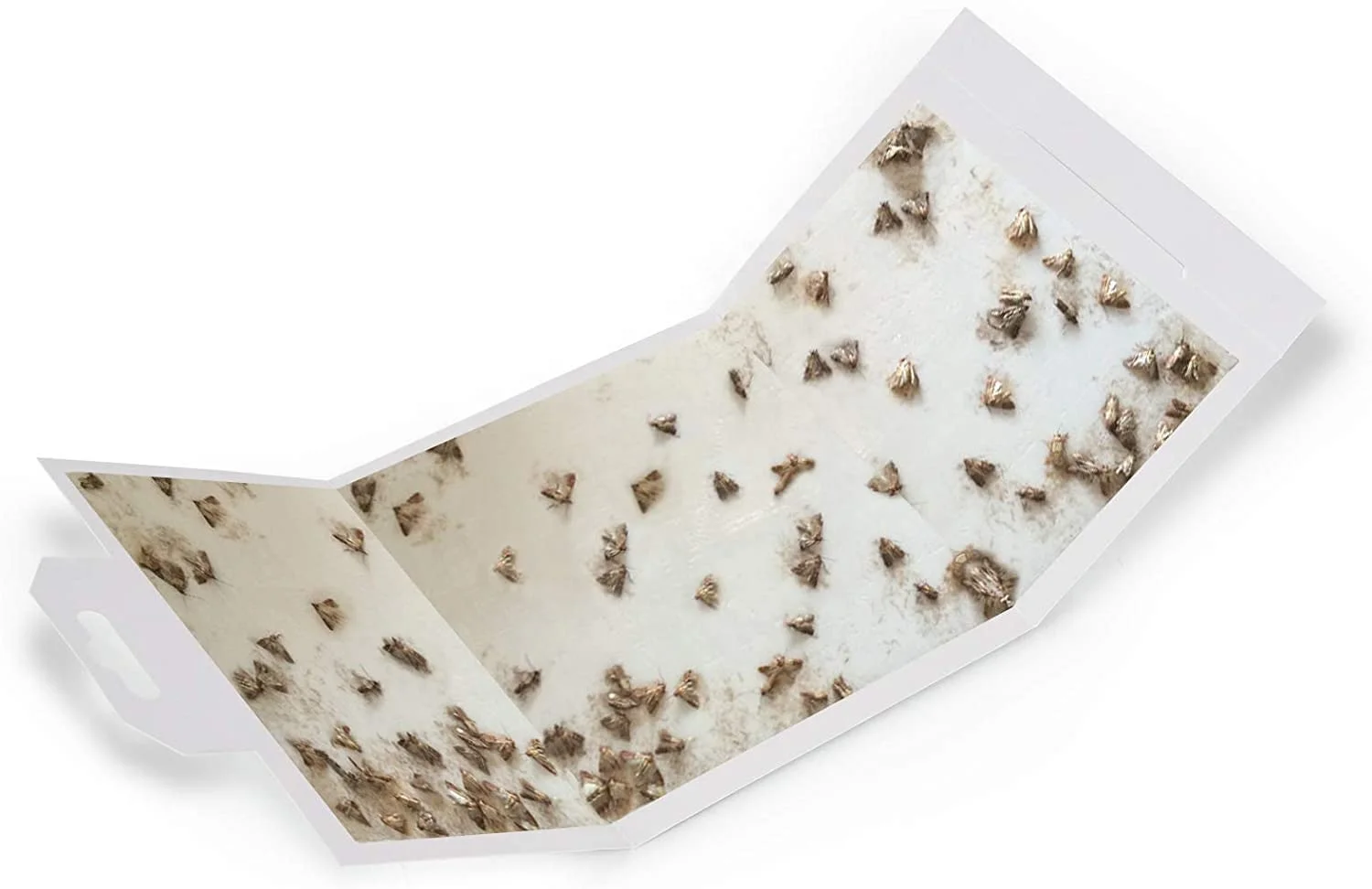 high-efficiency Pantry Moth Glue Trap OEM Moth Trap