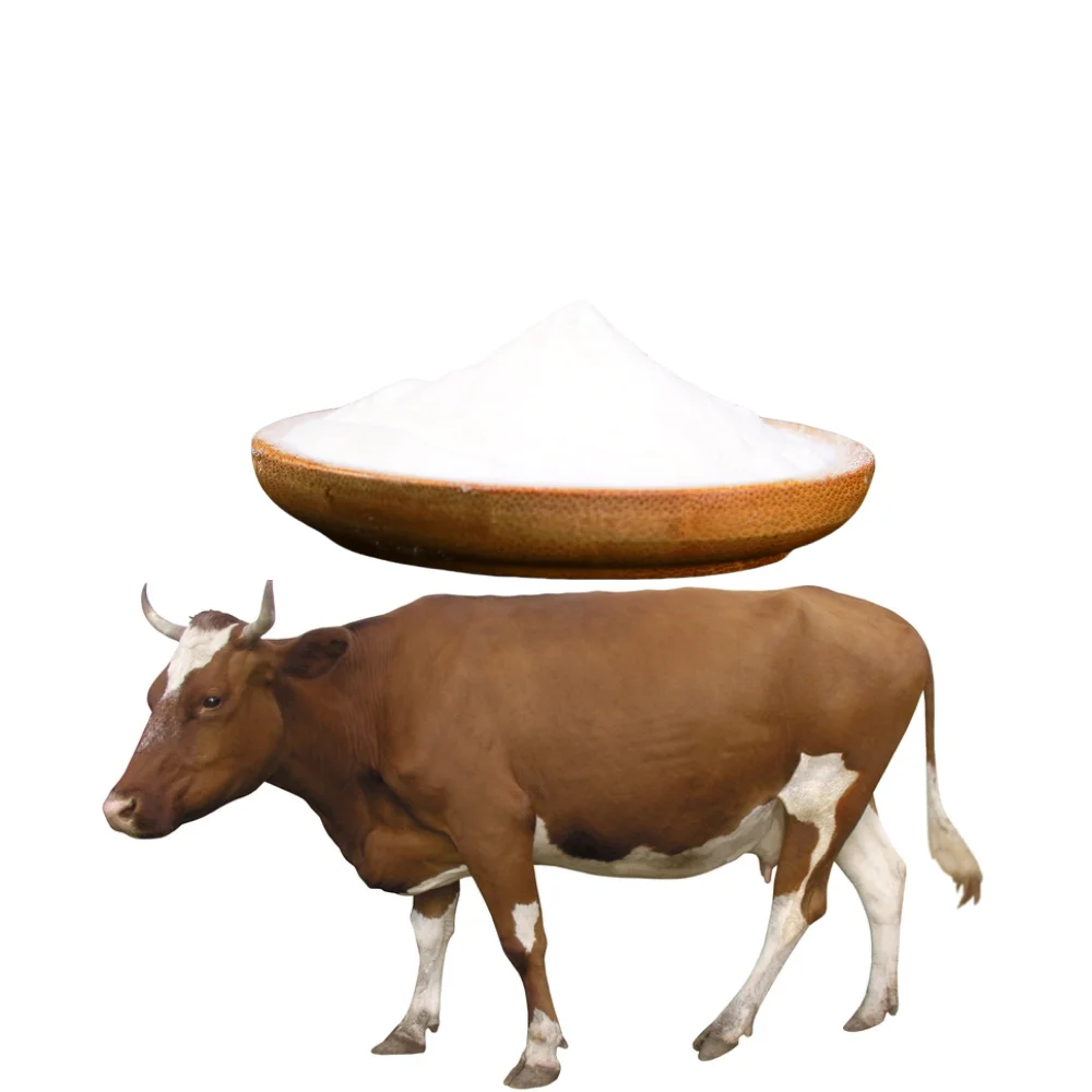 Ingredients Fast Dissolve 100% Raw Material Natural Pure Bovine Collagen Collagen Peptide Powder