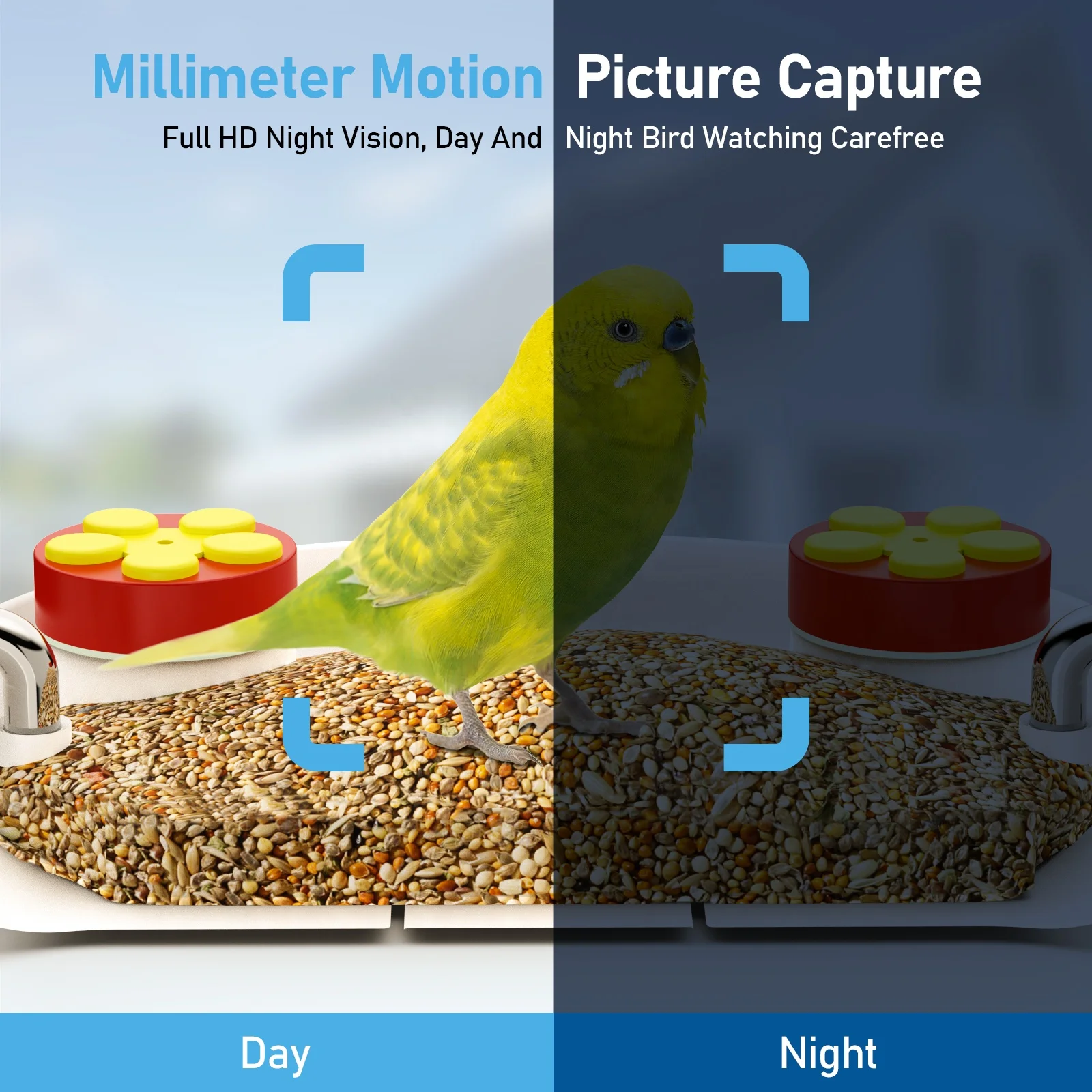 2024 Smart Ai Identify Bird Breed wildlife monitoring  Night Vision Bird Feeder With Camera