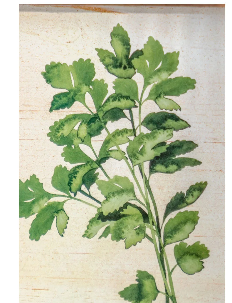 Nordic Petty Bourgeoisie Creative Photo Wall Old Plant Craft Painting Solid Wood Wall Decoration Corridor Background Wall Decor