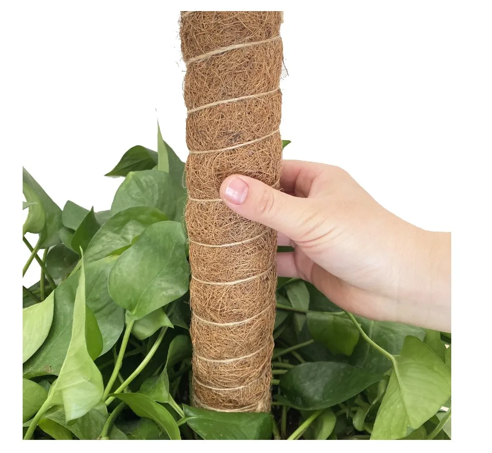 45 cm Length CoConut  Moss Stick For Plant with twist tie