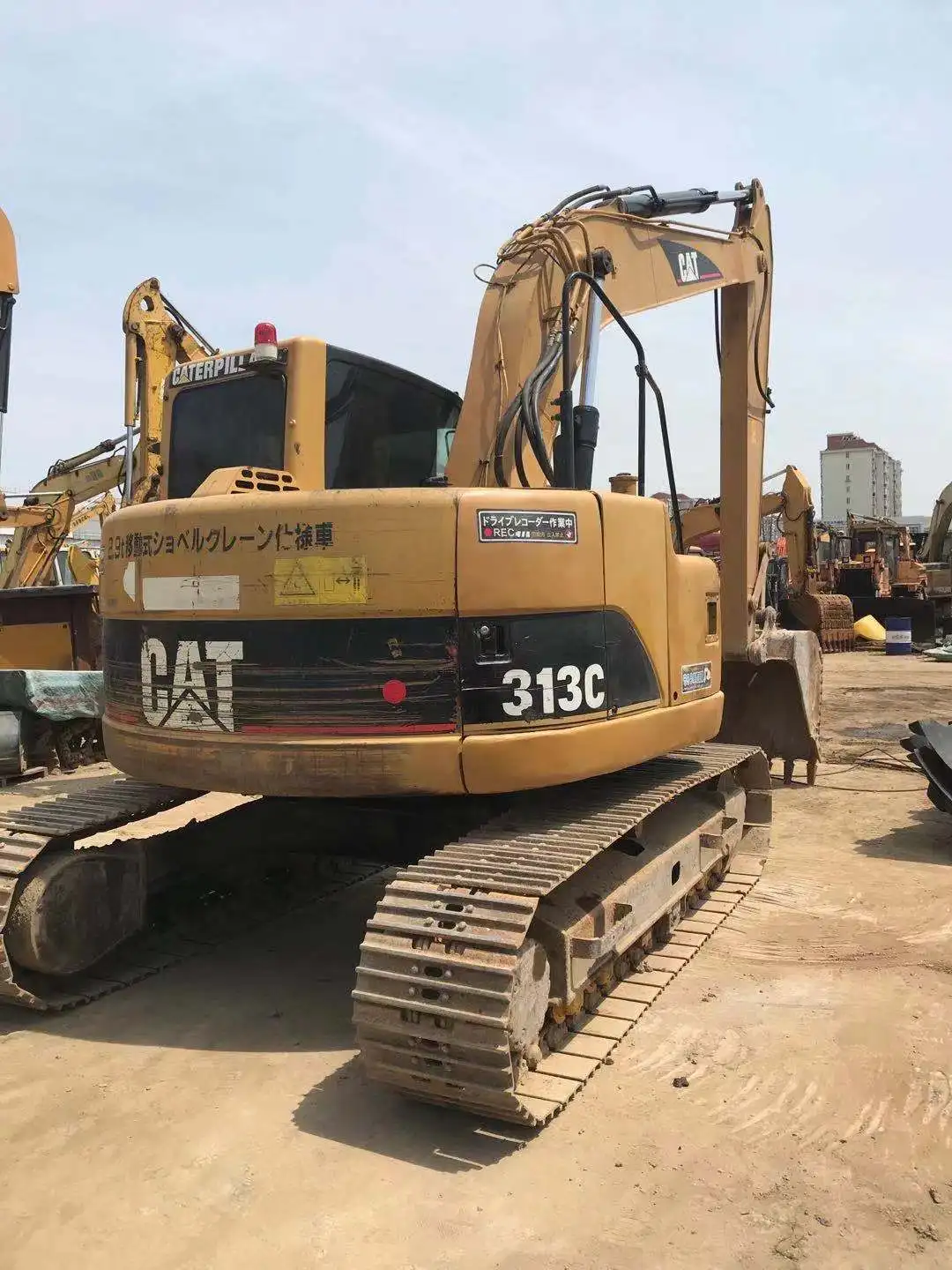 cat313c--5.jpg
