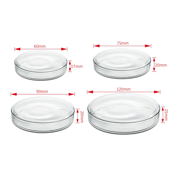 Laboratory Microscope Petri Dish Borosilicate Glass 100mmx15mm