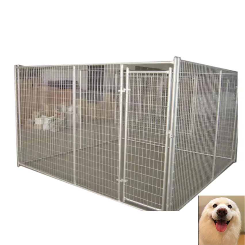 High quality dog kennels and runs carrier house box