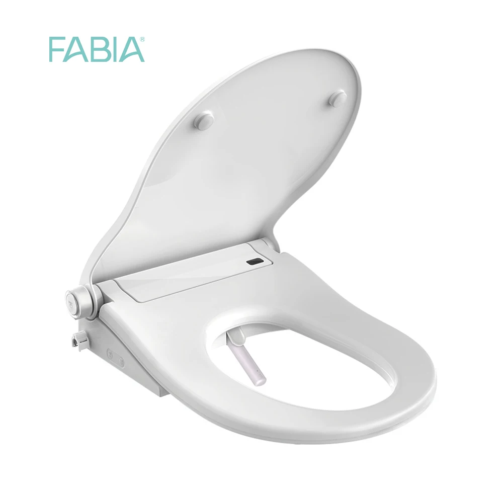 Ce Standard Bathroom Ceramic Smart Toilet Intelligent Bidet Integrated Wall Hang Toilet