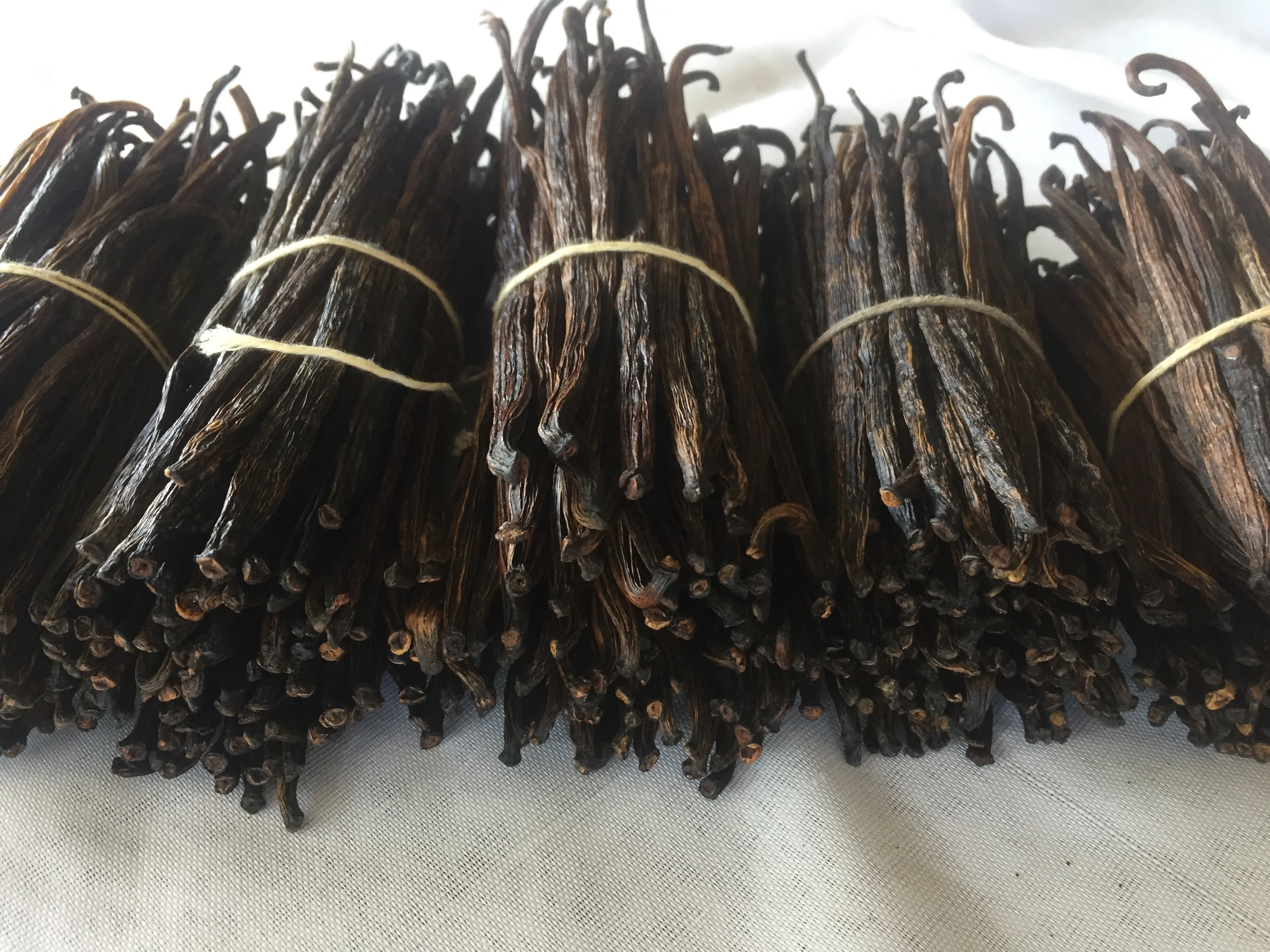 RENDAH PLANIFOLIA GRADE-3 10-11 CM VANILLA BEANS for EXTRACTION Hot Selling Indonesian Best Quality Bourbon with Best Price