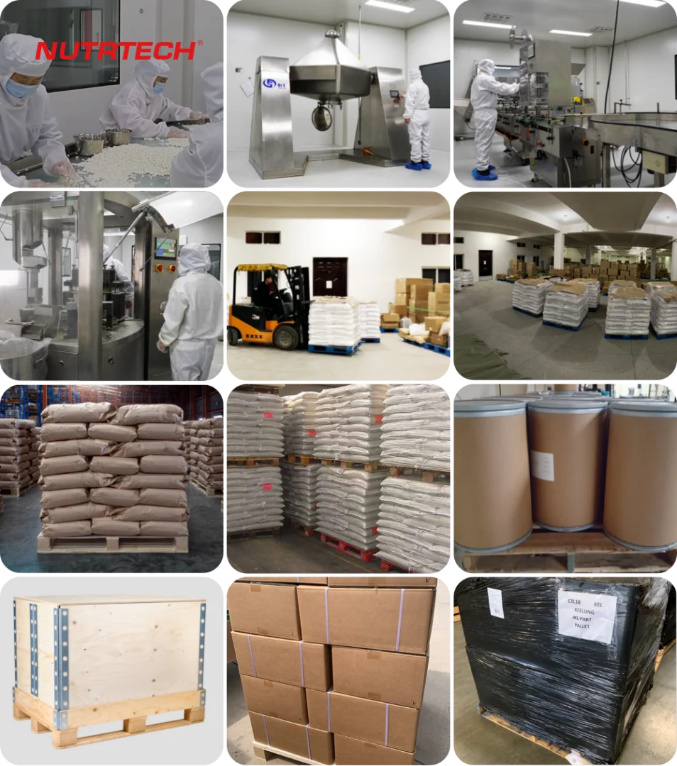 High quality oem mixed probiotics L.Acidophilus L.Rhamnosus L.Plantarum B.breve B.longum powder