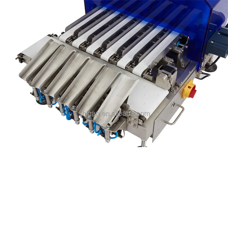 Automatic online multilane checkweigher manufacture