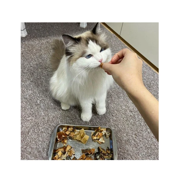 Корейская рекламная добавка свежее мясо рыбы популярная в продаже прослеживаемость сырья оригинальная Сушеная Рыба для домашних животных